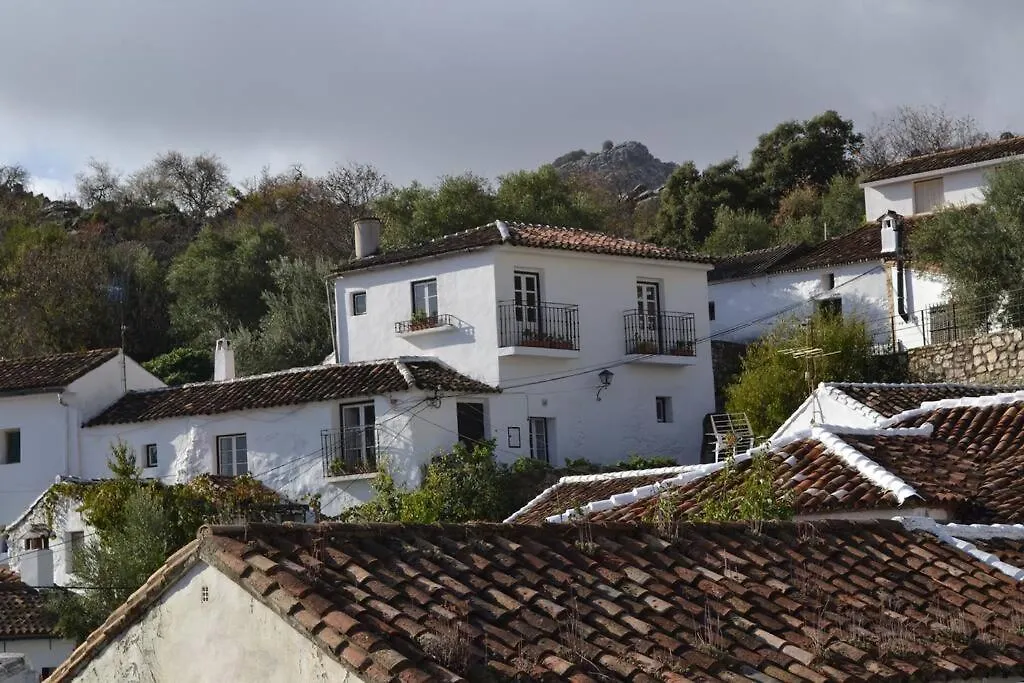 La Oliva location